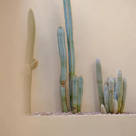 Aparthotel Maison Raphaël - Plages, Et Gare à Pied