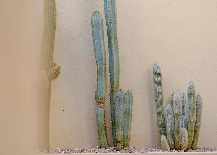 Aparthotel Maison Raphael - Plages, Et Gare A Pied